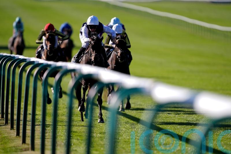 Miss Alpilles comes good with surprise Rose Bowl result