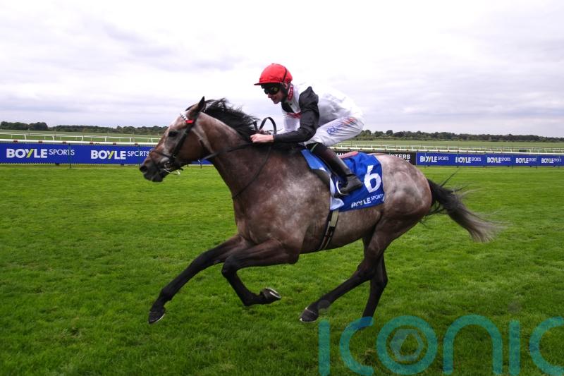 Lion&rsquo;s Pride produces 20-1 surprise in Godolphin Stakes