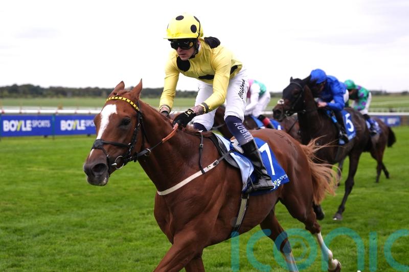 Zeus Olympios proves too good for Opera Ballo in Joel Stakes