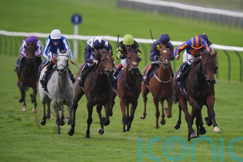 Breeders&rsquo; Cup emerges as possibility for Havana Anna