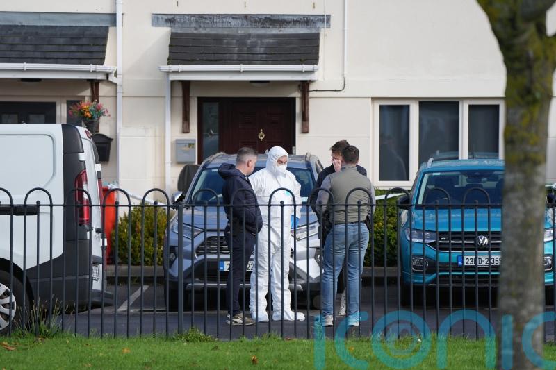 Irish police &lsquo;not looking for anyone&rsquo; over deaths of man and child in Dublin
