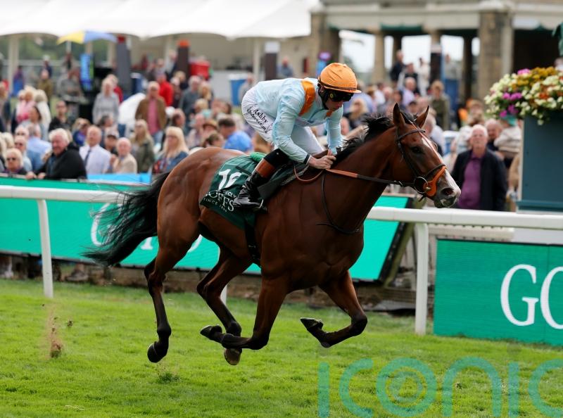 Song seeking another big payday at Redcar