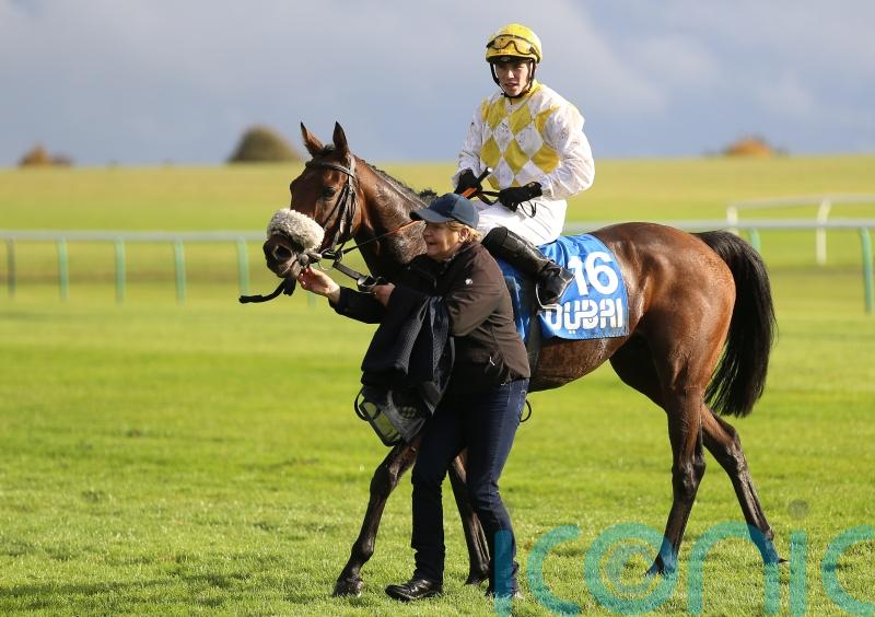 Alphonse Le Grande back at Newmarket after last year&rsquo;s Cesarewitch drama