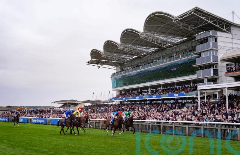 Damysus continues forward momentum in Darley Stakes