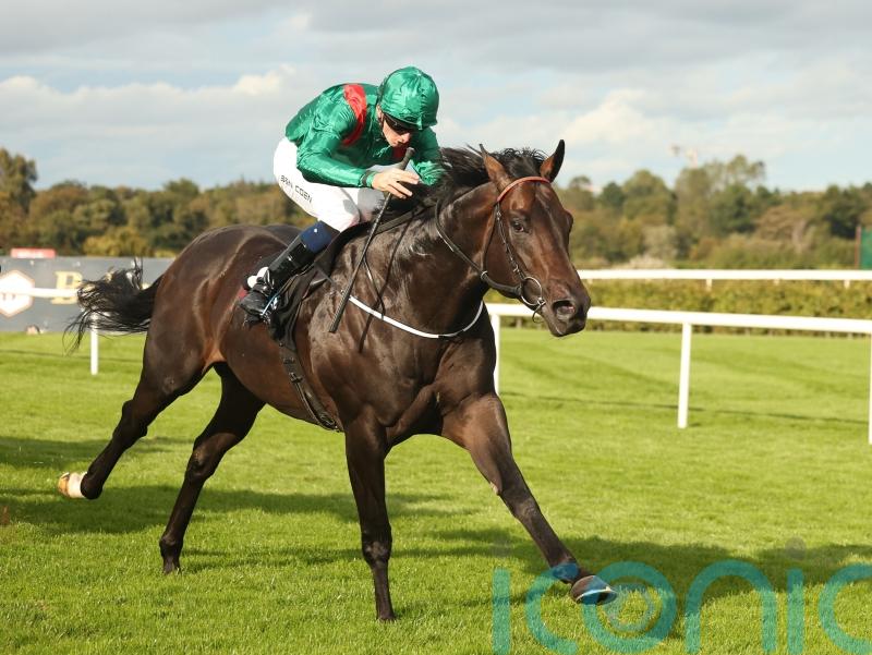 Alakazi poised to make Group One leap at Ascot