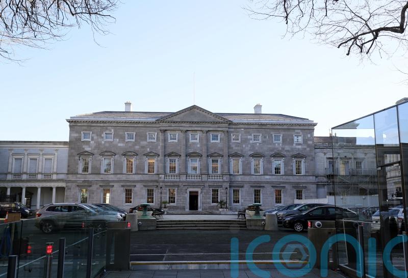 TDs&rsquo; and senators&rsquo; hearing to be tested in Leinster House by charity
