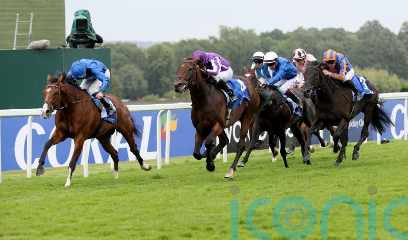 Ombudsman and Delacroix head Champion Stakes field
