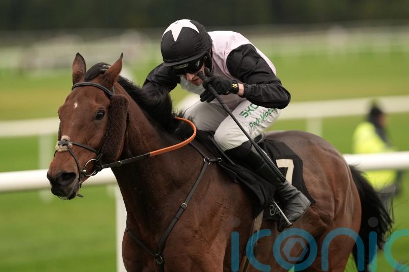 French Dynamite too strong for Munster National rivals