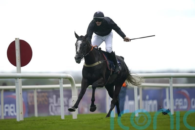 Sticktotheplan out for more glory after Persian War triumph