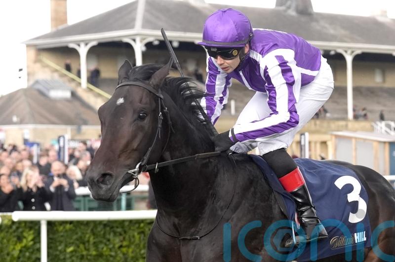 Hawk Mountain leads home Futurity one-two-three for O&rsquo;Brien