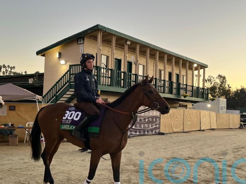 Rossa Ryan looking to Amiloc for Turf triumph