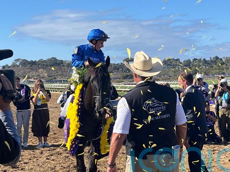 Rebel&rsquo;s Romance goes down fighting in bid for history