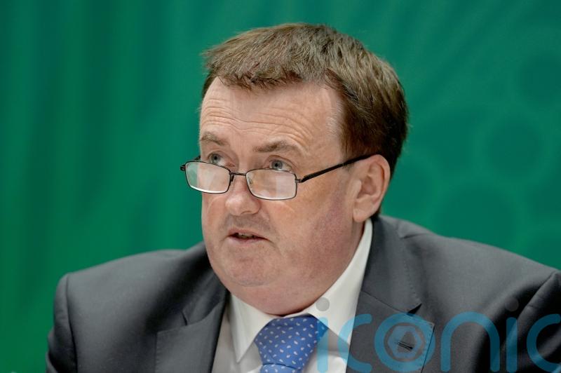 Four-fold increase in removal of EU citizens from Ireland in 2025