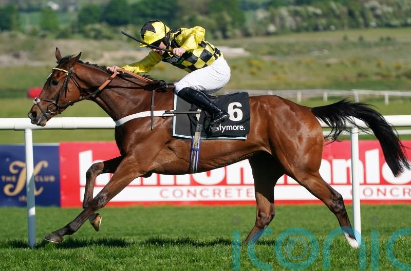 Lulamba in the running for Grade One glory at Sandown