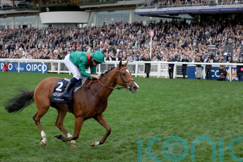 History beckons for Europe&rsquo;s best Calandagan in Japan