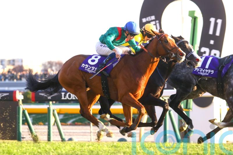 Calandagan the man in Japan