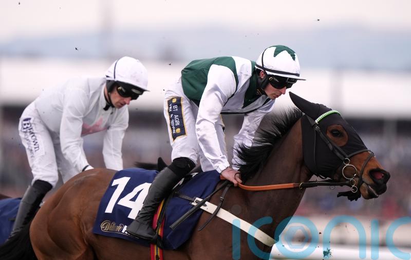 Panther hunting Grade One glory at Leopardstown