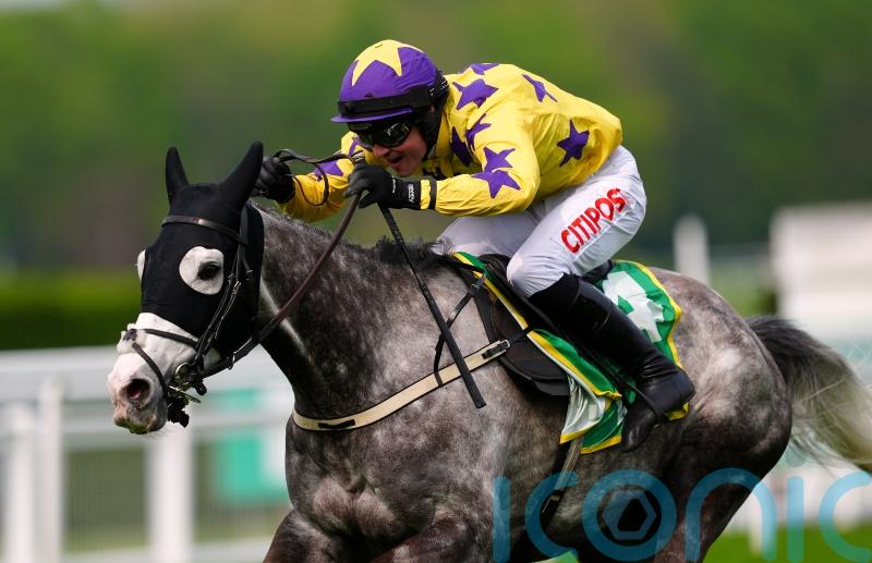 Temps team savouring Tingle Creek test