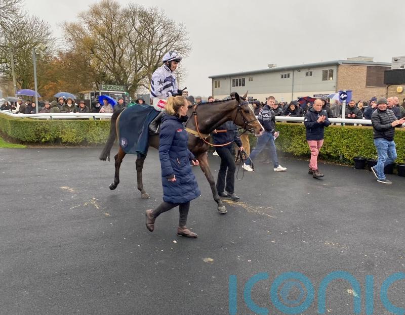 Why has Watts Wondering about Cheltenham