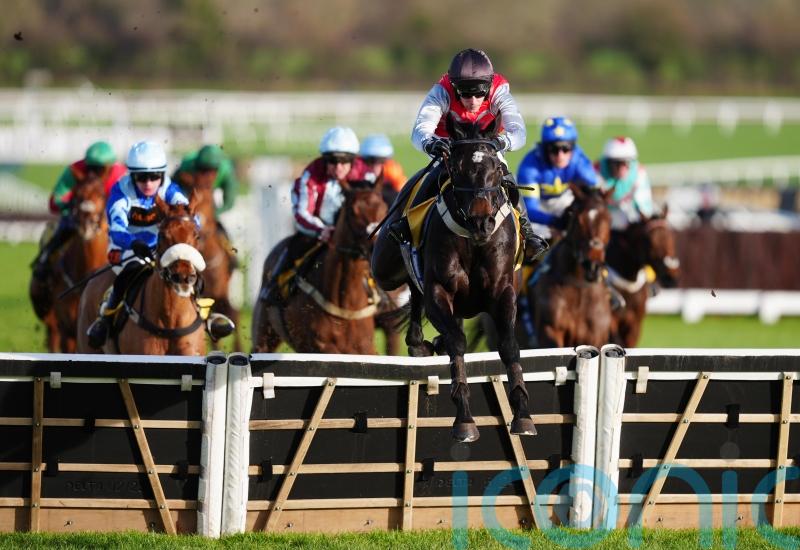 Minella Study already has plenty of boxes ticked for March