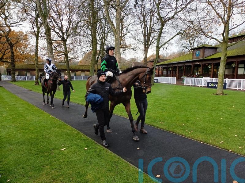 Skelton excited ahead of Mydaddypaddy&rsquo;s date at Aintree