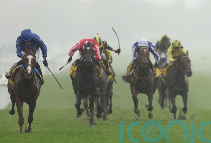 Mill Reef victor Words Of Truth headlines Meydan card