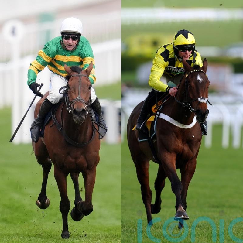 Sir Gino and The New Lion set for Cheltenham clash