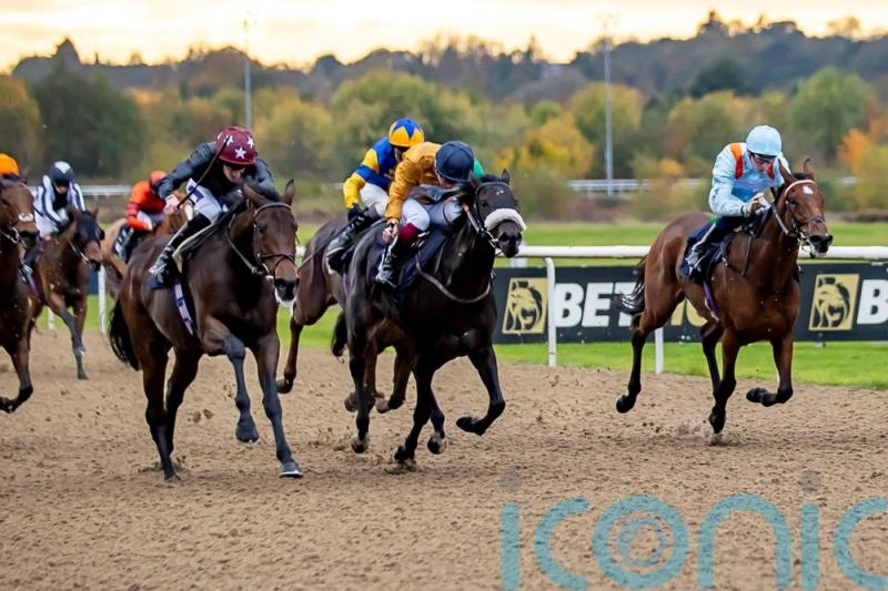 Safari swoops late for Winter Derby honours