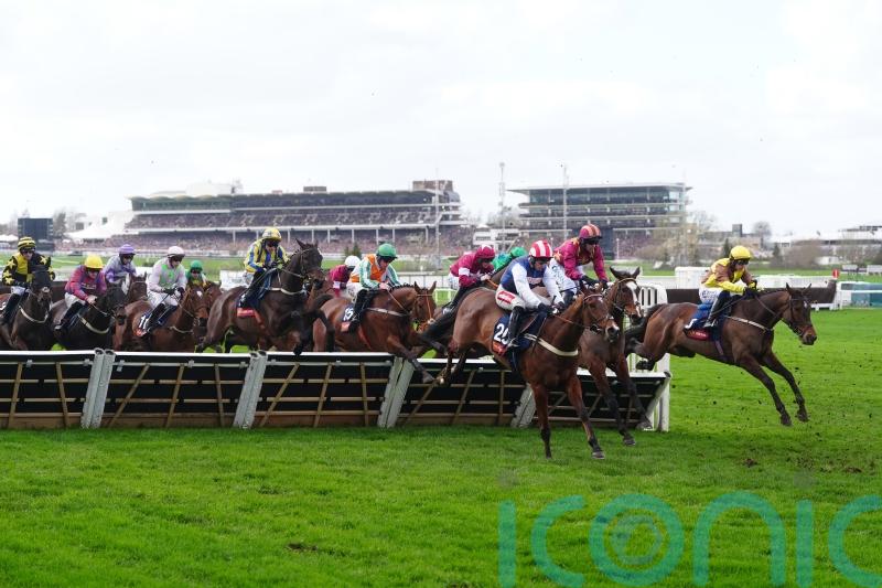 Declan Queally and Nico de Boinville in heated exchange at Cheltenham start