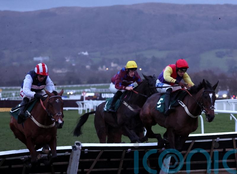 Tizzard backing Kripticjim to rise to Bartlett challenge