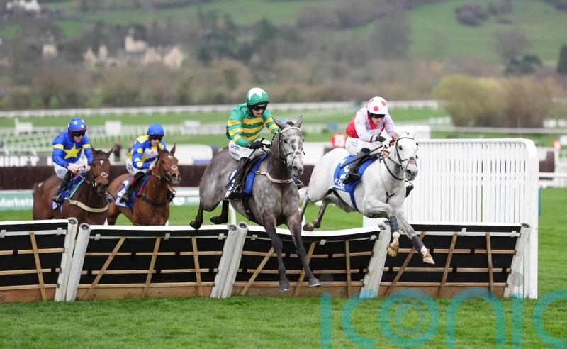 Options open for Saratoga after Cheltenham success