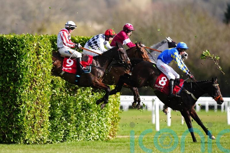 Roi Mage still going strong with brilliant Down Royal second