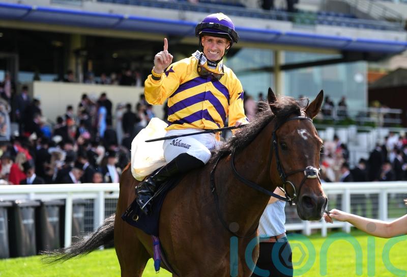 American Affair getting ready for York comeback