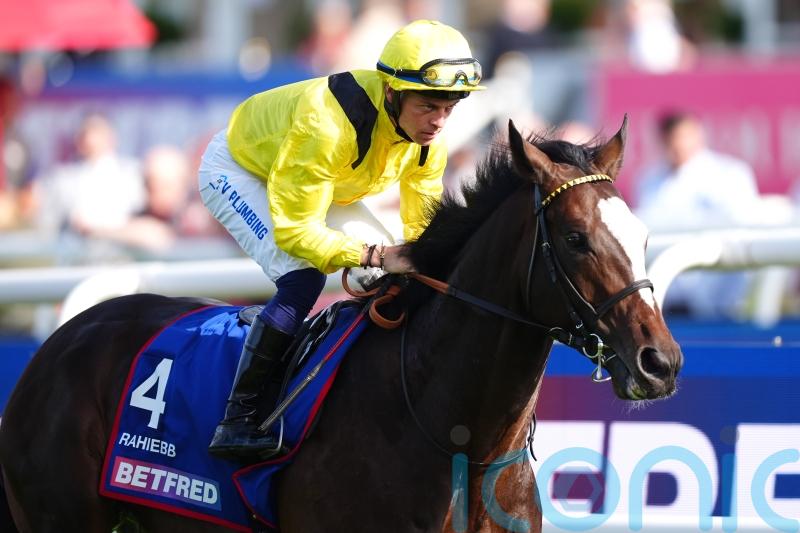 Rahiebb lined up for Sagaro Stakes as bid for Gold Cup glory begins